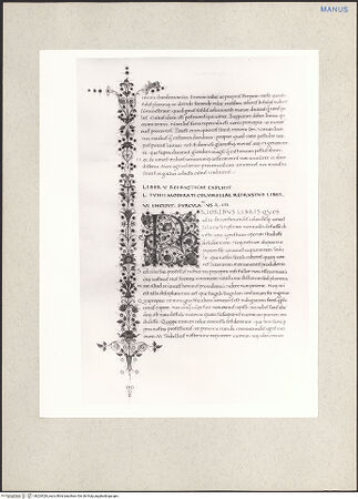 Vorderseite von bh224326_recto