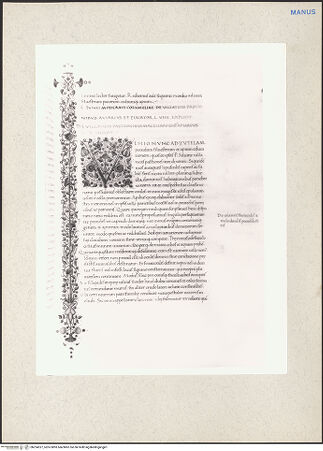 Vorderseite von bh224327_recto