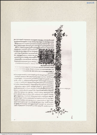 Vorderseite von bh224330_recto