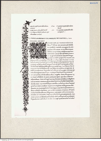 Vorderseite von bh224331_recto