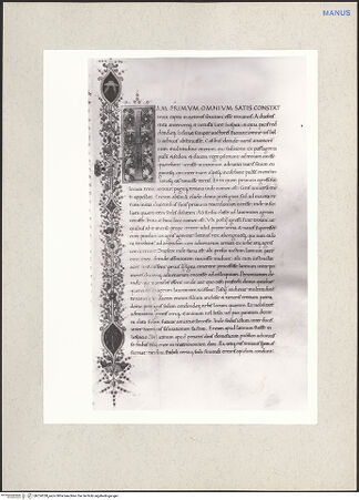 Vorderseite von bh224338_recto