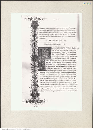 Vorderseite von bh224339_recto