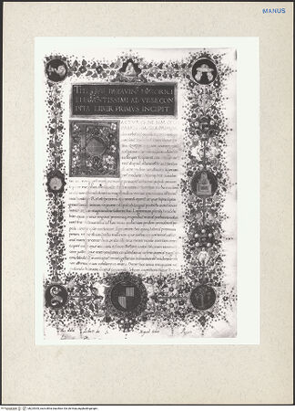 Vorderseite von bh224343_recto