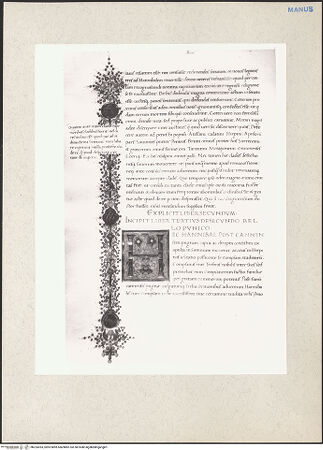 Vorderseite von bh224353_recto