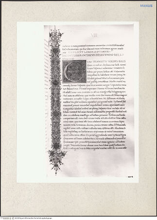 Vorderseite von bh224356_recto