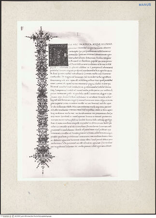 Vorderseite von bh224361_recto