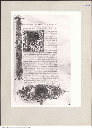 Vorderseite von bh224363_recto