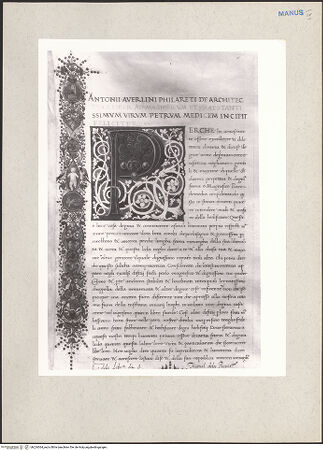 Vorderseite von bh224364_recto