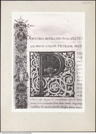 Vorderseite von bh224365_recto