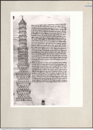 Vorderseite von bh224369_recto