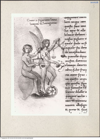 Vorderseite von bh224382_recto