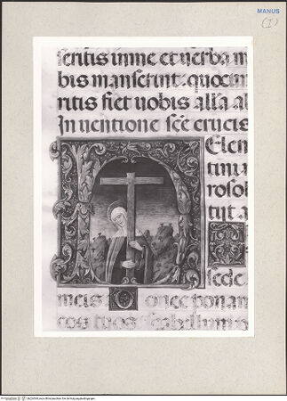 Vorderseite von bh224394_recto