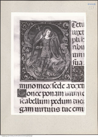 Vorderseite von bh224396_recto