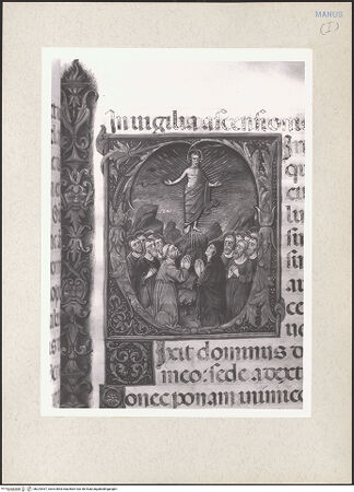 Vorderseite von bh224397_recto