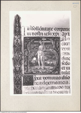 Vorderseite von bh224401_recto