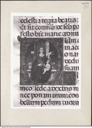 Vorderseite von bh224408_recto