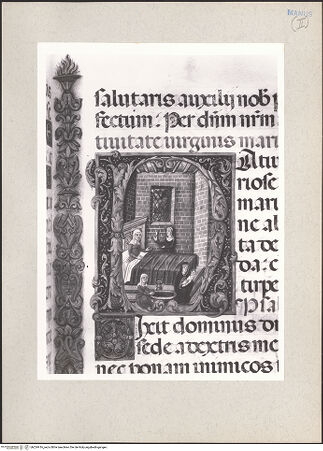 Vorderseite von bh224416_recto