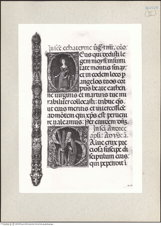 Vorderseite von bh224422_recto