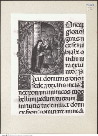 Vorderseite von bh224423_recto