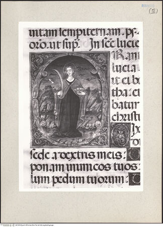 Vorderseite von bh224424_recto