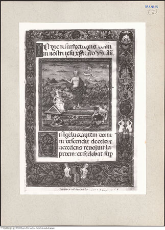 Vorderseite von bh224429_recto