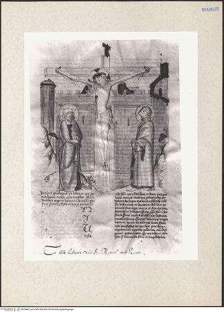 Vorderseite von bh224441_recto