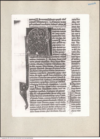 Vorderseite von bh224442_recto