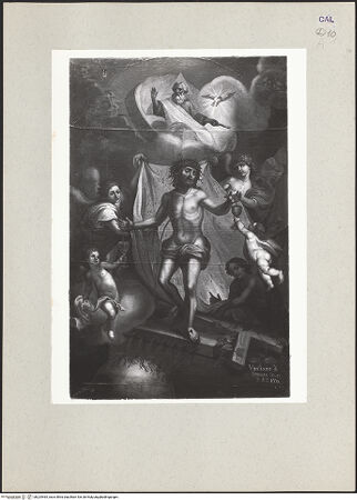 Vorderseite von bh224465_recto