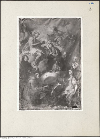 Vorderseite von bh224502_recto