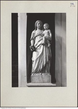 Vorderseite von bh224564_recto