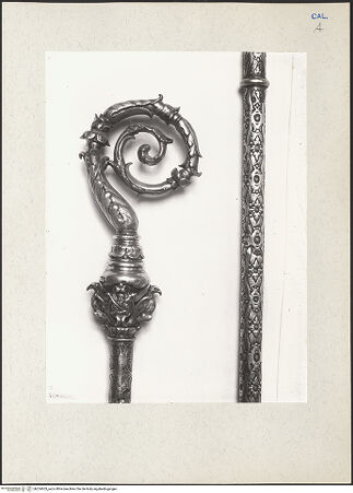 Vorderseite von bh224653_recto