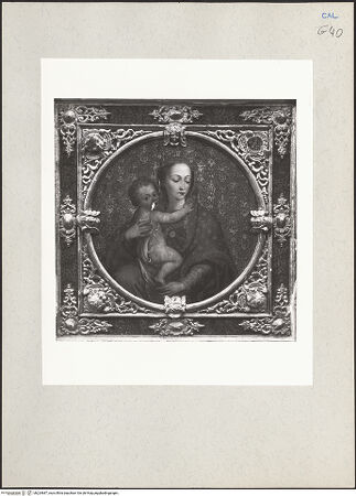 Vorderseite von bh224687_recto