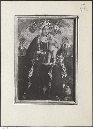 Vorderseite von bh224688_recto