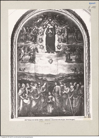 Vorderseite von Alinari [https://www.deutsche-digitale-bibliothek.de/content/lizenzen/rv-ez/] Mariä Himmelfahrt - Gesamtansicht, bh224781_recto. Foto.