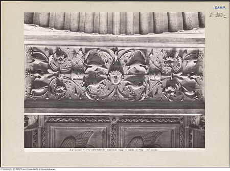 Vorderseite von Alinari [https://www.deutsche-digitale-bibliothek.de/content/lizenzen/rv-ez/] DeckenkassettierungOrnament - Rahmenfeld mit Groteskendekoration, bh224793_recto. Foto.