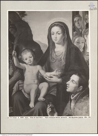 Vorderseite von Alinari [https://www.deutsche-digitale-bibliothek.de/content/lizenzen/rv-ez/] Madonna mit heiligen Märtyrer - Detail: Madonna, bh224879_recto. Foto.