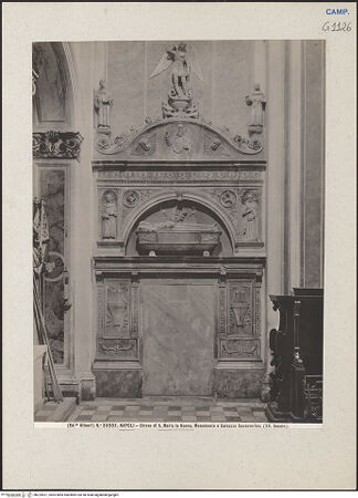 Vorderseite von Alinari [https://www.deutsche-digitale-bibliothek.de/content/lizenzen/rv-ez/] Grabmal des Galeazzo Sanseverino (gest. 1477) - Gesamtansicht, bh224921_recto. Foto.