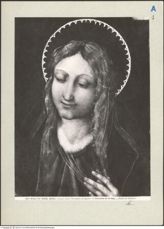 Vorderseite von bh225167_recto