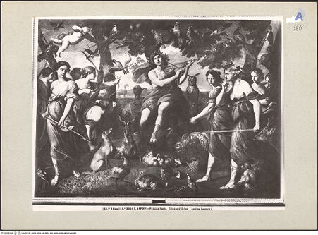 Vorderseite von bh225181_recto