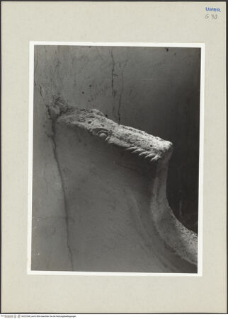 Vorderseite von Foto Marburg [https://www.deutsche-digitale-bibliothek.de/content/lizenzen/rv-ez/] Kathedra mit stilisierten Löwenköpfen - Detail: stilisierter Löwenkopf, bh225248_recto. Foto: Hutzel, Max.