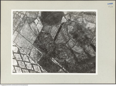 Vorderseite von Foto Marburg [https://www.deutsche-digitale-bibliothek.de/content/lizenzen/rv-ez/] Plattenmosaik-Fußboden mit antiken Spolien - Presbyterium, Detail: Marmorplatten und zwei Mosaikfragmente mit weissen und schwarzen Tesserae, bh225251_recto. Foto: Hutzel, Max.