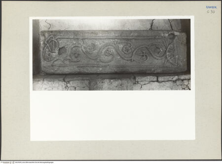 Vorderseite von Foto Marburg [https://www.deutsche-digitale-bibliothek.de/content/lizenzen/rv-ez/] Relief mit Rankenwerk - Gesamtansicht, bh225265_recto. Foto: Hutzel, Max.