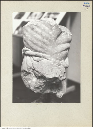 Vorderseite von bh225342_recto