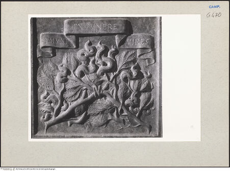 Vorderseite von Pedicini, Luciano [https://www.deutsche-digitale-bibliothek.de/content/lizenzen/rv-ez/] Grabmal des Berardo Rota und Porzia Capece - Sarkophagfront, Detail: Phoenix, bh225384_recto. Foto: Pedicini, Luciano.