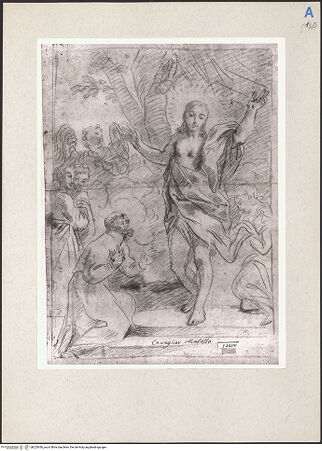 Vorderseite von bh225436_recto