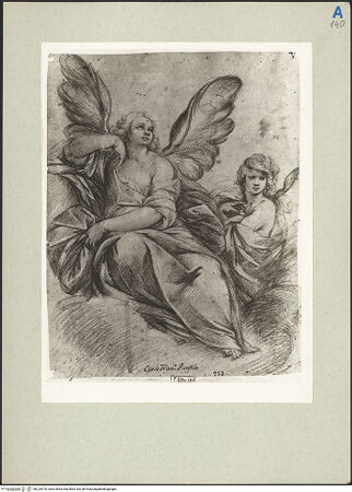 Vorderseite von bh225470_recto