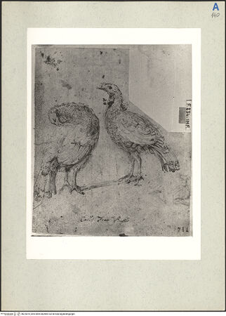 Vorderseite von bh225475_recto