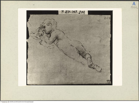 Vorderseite von bh225493_recto