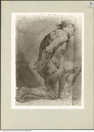 Vorderseite von bh225496_recto