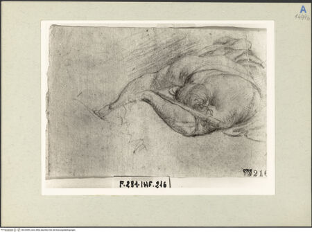 Vorderseite von bh225499_recto